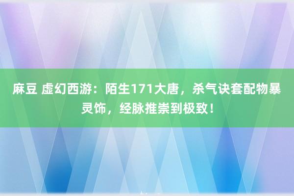 麻豆 虚幻西游：陌生171大唐，杀气诀套配物暴灵饰，经脉推崇到极致！