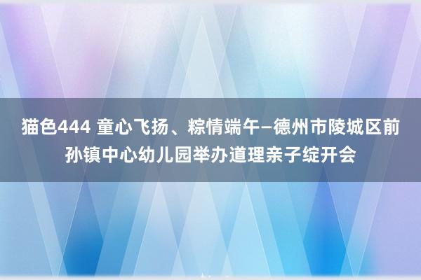 猫色444 童心飞扬、粽情端午—德州市陵城区前孙镇中心幼儿园举办道理亲子绽开会