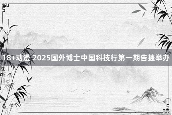 18+动漫 2025国外博士中国科技行第一期告捷举办