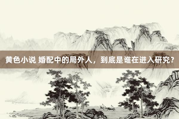 黄色小说 婚配中的局外人，到底是谁在进入研究？