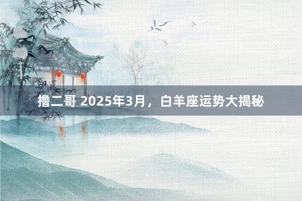 撸二哥 2025年3月，白羊座运势大揭秘