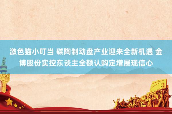 激色猫小叮当 碳陶制动盘产业迎来全新机遇 金博股份实控东谈主全额认购定增展现信心