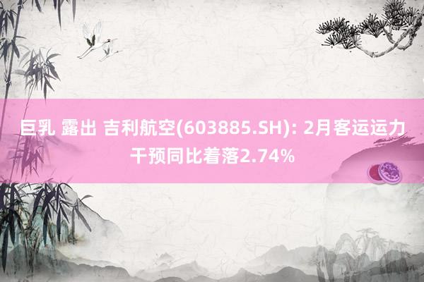 巨乳 露出 吉利航空(603885.SH): 2月客运运力干预同比着落2.74%