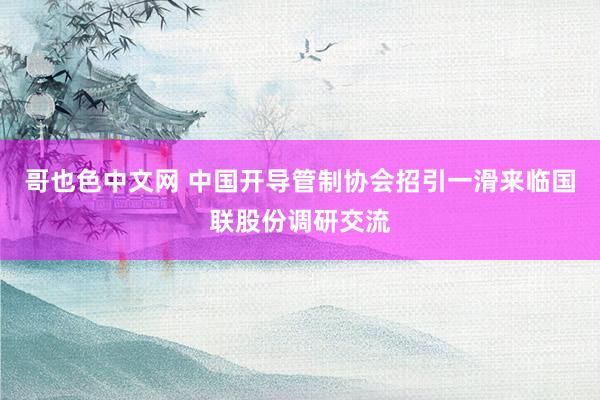 哥也色中文网 中国开导管制协会招引一滑来临国联股份调研交流
