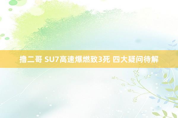 撸二哥 SU7高速爆燃致3死 四大疑问待解