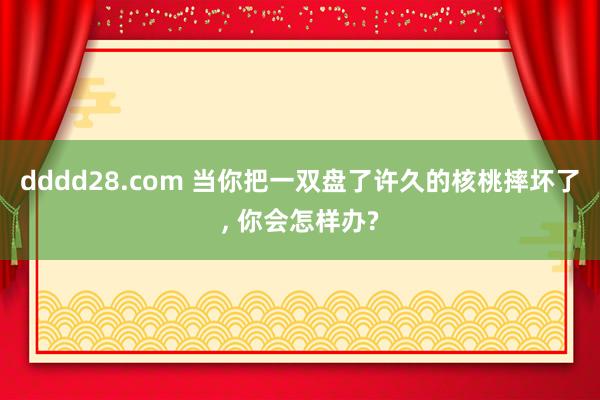 dddd28.com 当你把一双盘了许久的核桃摔坏了, 你会怎样办?