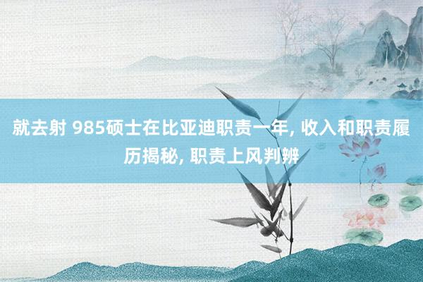 就去射 985硕士在比亚迪职责一年, 收入和职责履历揭秘, 职责上风判辨
