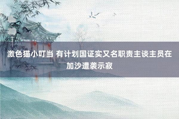 激色猫小叮当 有计划国证实又名职责主谈主员在加沙遭袭示寂