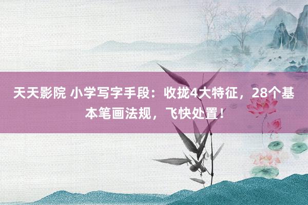 天天影院 小学写字手段：收拢4大特征，28个基本笔画法规，飞快处置！