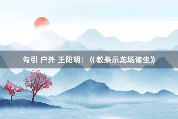 勾引 户外 王阳明：巜教条示龙场诸生》