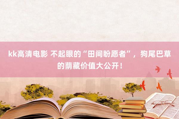 kk高清电影 不起眼的“田间盼愿者”，狗尾巴草的荫藏价值大公开！