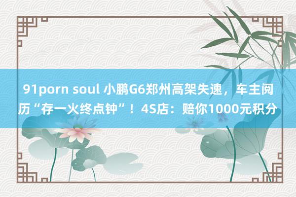 91porn soul 小鹏G6郑州高架失速，车主阅历“存一火终点钟”！4S店：赔你1000元积分
